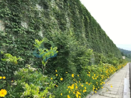微信图片_20250611153209.png