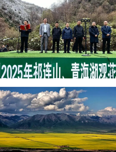 微信图片_20250709103426.png