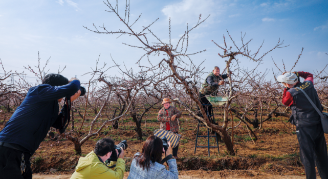 1774938281454212.png 微信图片_20260331141944.png