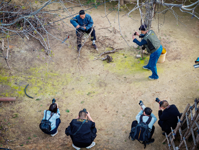 1774938292506406.png 微信图片_20260331141946.png