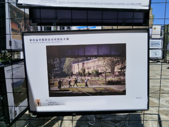 微信图片_20260804092706.png