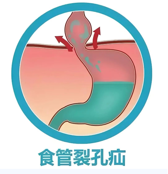 微信图片_20261022094719.png